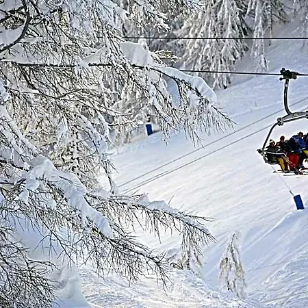 Le Massif & - The Leading Of The World